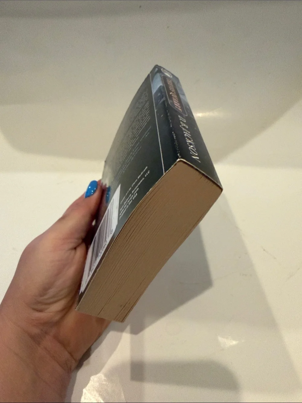 Thieves’ Quarry by D.B Jackson Book